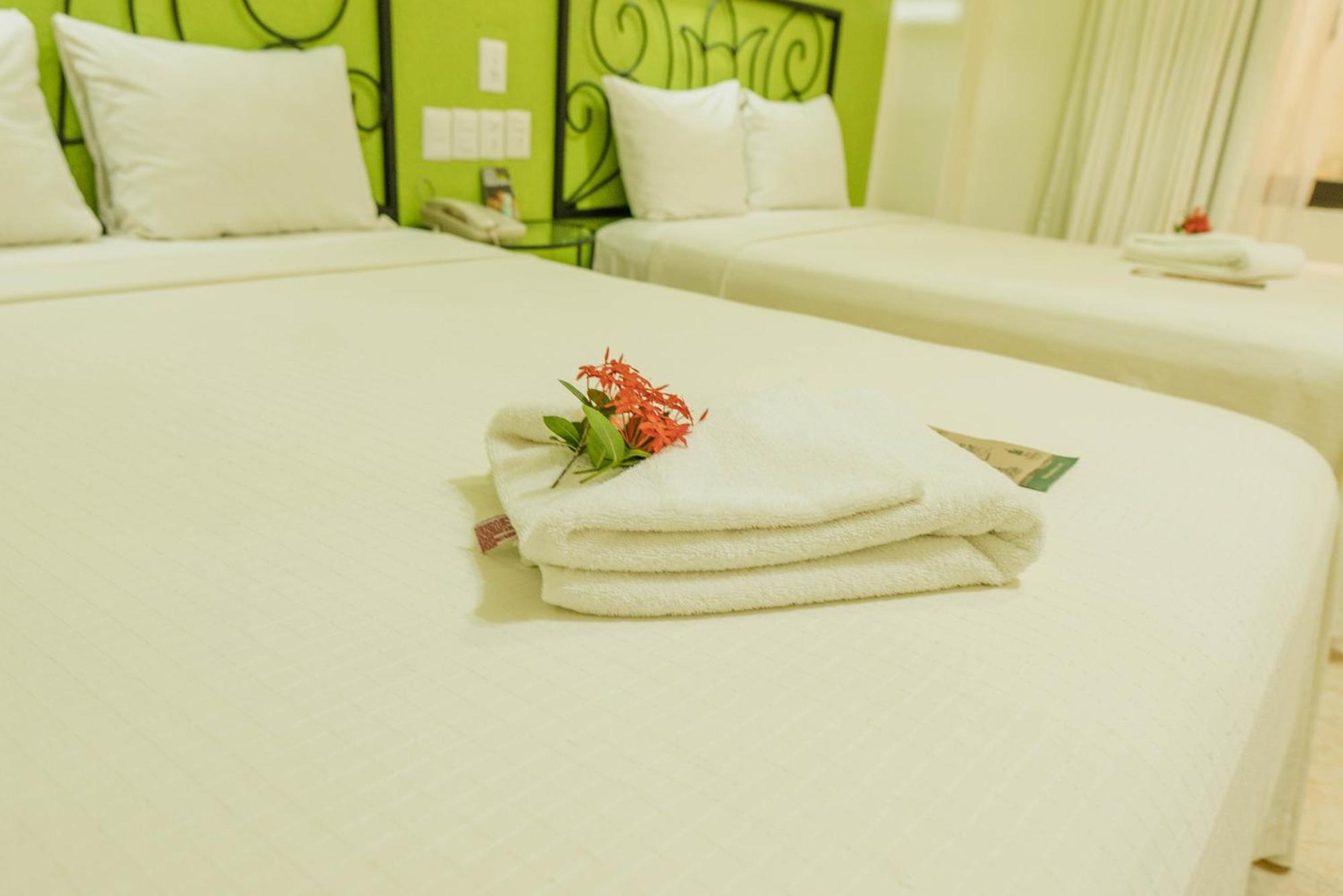 Maya Tulipanes Express Palenque Room photo